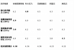 其取大模子的连系代表了沿标的目的